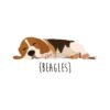 flat750x075f pad750x750f8f8f8 13 - Beagle Gifts