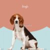 flat750x075f pad750x750f8f8f8 25 - Beagle Gifts