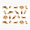 flat750x075f pad750x750f8f8f8.u4 8 - Beagle Gifts