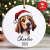 il 1000xN.5366459886 ikbp - Beagle Gifts