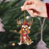 il 1000xN.5406742540 99z8 - Beagle Gifts