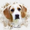 il 1000xN.5449931704 jswc - Beagle Gifts