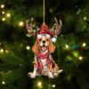 il 1000xN.5454884397 bzyq - Beagle Gifts