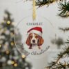 il 1000xN.5504567000 8brz - Beagle Gifts