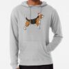 ssrcolightweight hoodiemensheather greyfrontsquare productx1000 bgf8f8f8 17 - Beagle Gifts