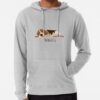 ssrcolightweight hoodiemensheather greyfrontsquare productx1000 bgf8f8f8 6 - Beagle Gifts