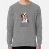 ssrcolightweight sweatshirtmensheather grey lightweight raglan sweatshirtfrontsquare productx1000 bgf8f8f8 1 - Beagle Gifts
