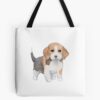 tb1040x1040large c1198800800 bgf8f8f8.u8 22 - Beagle Gifts