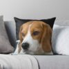 throwpillowsmall1000x bgf8f8f8 c020010001000 1 - Beagle Gifts