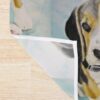 urshower curtain detailsquare1000x1000 25 - Beagle Gifts