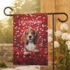 il 1000xN.5687747088 ifdp - Beagle Gifts