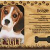 il 1000xN.2814372689 6iyq - Beagle Gifts