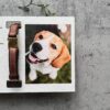 il 1000xN.5295518112 d9lv - Beagle Gifts