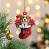 il 1000xN.6249647486 pu60 - Beagle Gifts