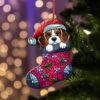 il 1000xN.6262639892 lo1r - Beagle Gifts