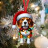 il 1000xN.6304862754 ebem - Beagle Gifts